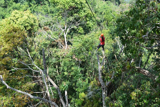 Zipline Adventure at Skyline Jungle Luge Chiang Mai - Price and Value: Is $86.93 Worth It?