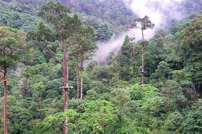 Zipline Adventure in KohSamui 10 Cables with Mountain & Sea Views - Pickup in Koh Samui: Where It’s Easy and Where You’ll Pay Extra