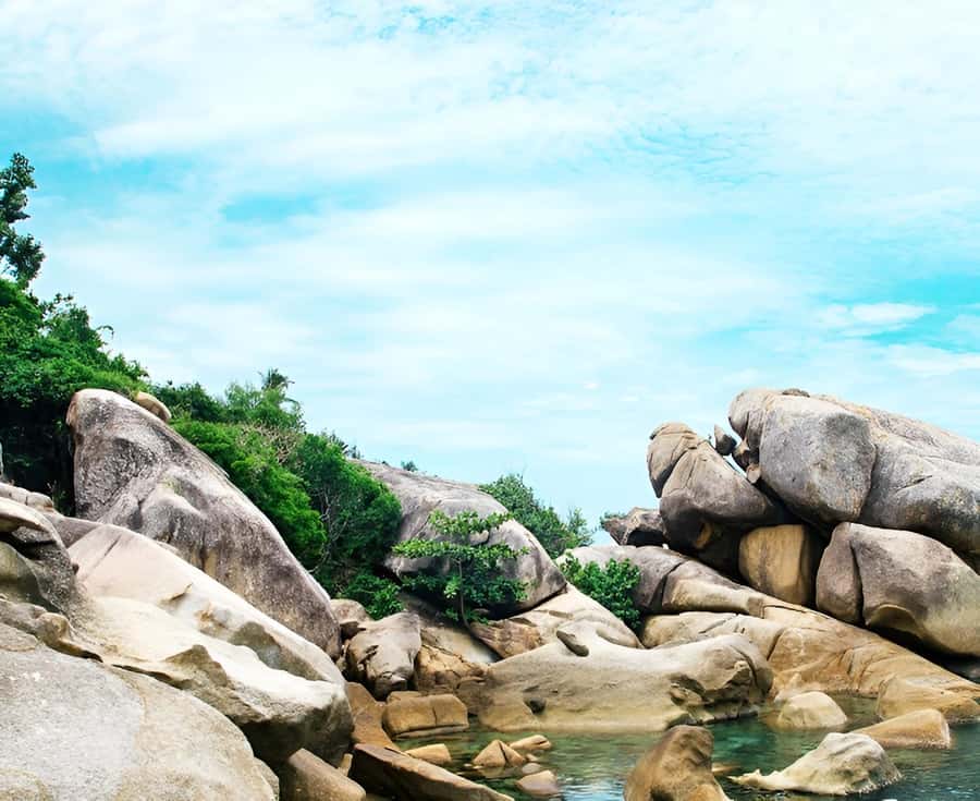 Zipline in Koh Samui Adventure activity tour - Why This Zipline Day Is Such a Good Koh Samui “One-Day” Plan