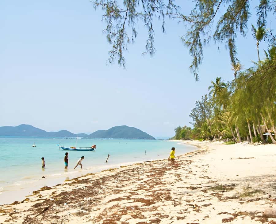 Zipline in Koh Samui Adventure activity tour - The Zipline Circuit: Petzl Gear, 9 Rides, and a Clean Safety Flow
