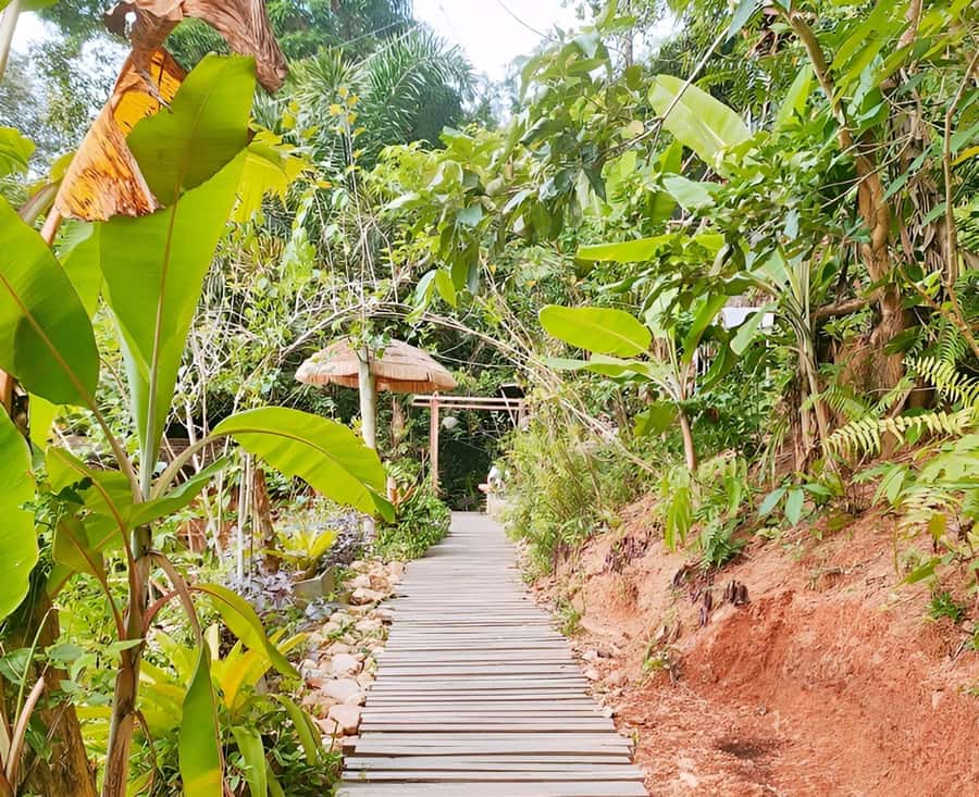 Zipline in Koh Samui Adventure activity tour - Who This Tour Is Best For (and Who Should Skip It)