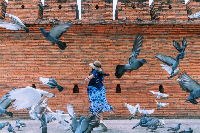 ️ Chiang Mai Instagram Tour: Most Famous Spots (Private and All-Inclusive) - Doi Inthanon National Park and Waterfall Stops for the Adventurous Side