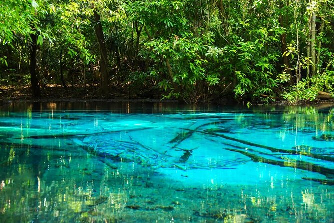 ️ Krabi Instagram Tour: The Most Famous Spots (Private & All-Inclusive) - Key highlights you’ll actually feel